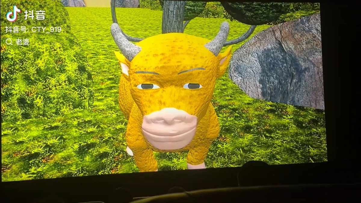 Embedded video
